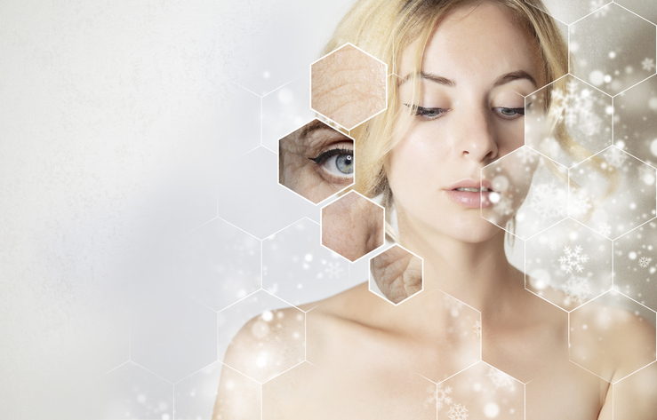 Biological aging and cellular health — youthful and aged skin compared, illustrating how daily multivitamins may slow biological aging