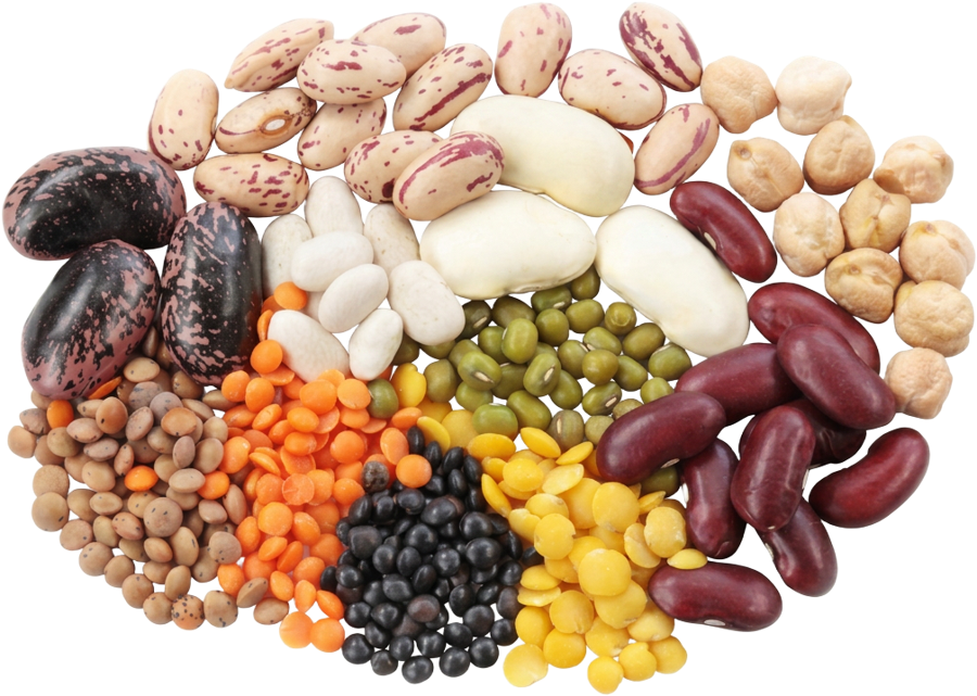 Variety of dried beans, lentils, chickpeas, and split peas — easier-to-digest legumes for gut health
