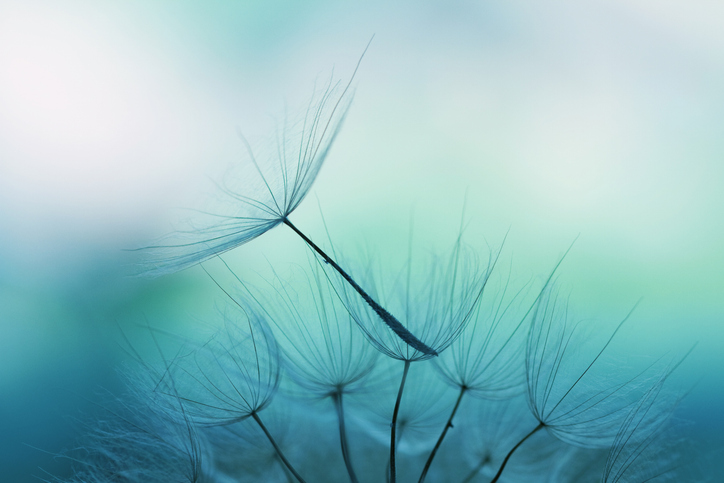 Whole-body wellness support for chronic fatigue