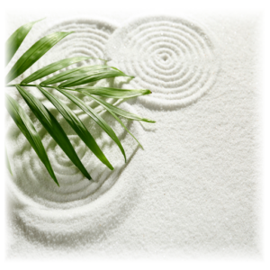 Naturopath Wellness Center Logo